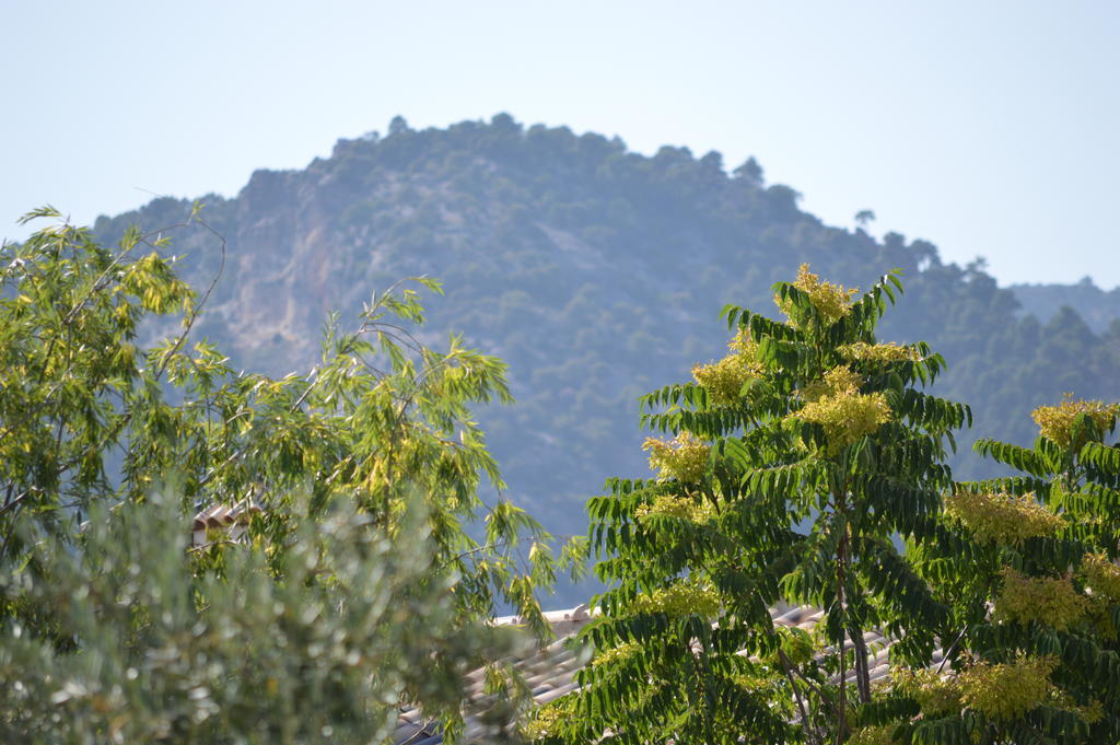 Complejo Rural Ibipozo Guest House Pozo Alcon Bagian luar foto