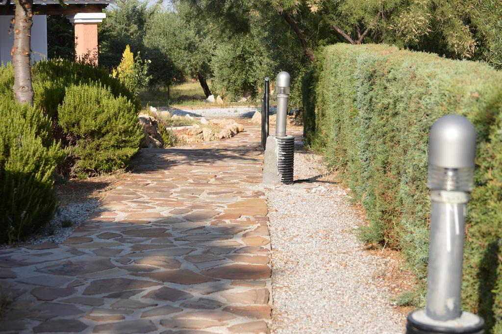 Complejo Rural Ibipozo Guest House Pozo Alcon Bagian luar foto